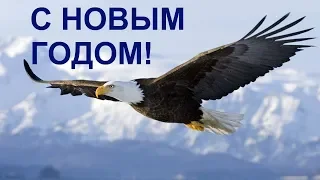 НОВОГОДНЕЕ ПОЗДРАВЛЕНИЕ С 2019  ГОДОМ