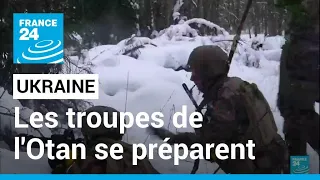 Crise ukrainienne : les troupes françaises en exercice pour l'Otan en Estonie • FRANCE 24