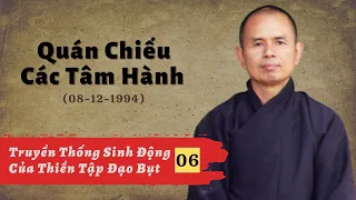 Quán Chiếu Các Tâm Hành [TTSĐCTTĐB 06] | TS Thích Nhất Hạnh (08-12-1994, XT, Làng Mai)