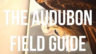 The Audubon Field Guide