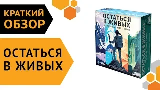 Остаться в живых: Неизведанные земли — краткий обзор настольной игры