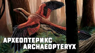 Прародитель птиц? Археоптерикс. Archaeopteryx