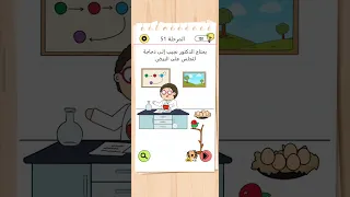 Brain Test 4 المرحلة 51