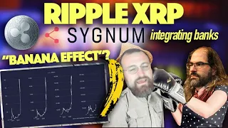 Ripple XRP: Banana Effect In Crypto? Schwartz Defends XRP Community & SYGNUM Integrating Banks