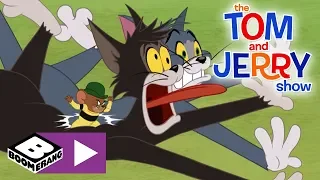 The Tom and Jerry Show | Who Is The Toughest? | Boomerang UK 🇬🇧