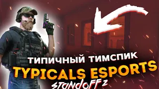 ПЕРВЫЙ ТИМСПИК НАШЕЙ КОМАНДЫ ТИПИЧНЫЙ ТИМСПИК TYPICALS ESPORTS