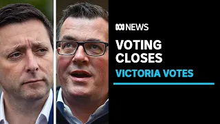 Victorians queue to have their say on the state's future | ABC News