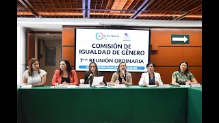 EN VIVO / Reunión Ordinaria de la Comisión de Igualdad de Género.