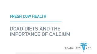 DCAD Diets and the Importance of Calcium