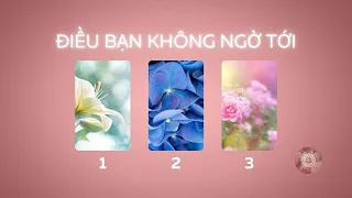 Điều Bạn Không Ngờ Tới | Chọn 1 Tụ Bài | Thefiveofcups.com