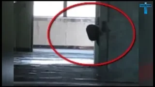 Top 10 Mysterious & Scary Creature Caught On Camera #2