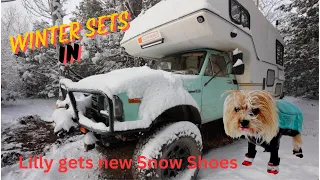 Out of diesel on cold winter camp. Dog gets new boots