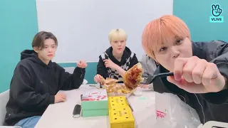 (eng sub) TO1 VLIVE●03/01/22