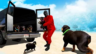 SOMEBODY TOOK CHOP'S PUPPIES in GTA 5! (Find them)