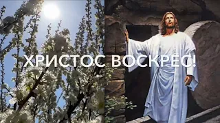 ХРИСТОС ВОСКРЕС!   /христианский стих на Пасху/  читает автор Анна Юркин@