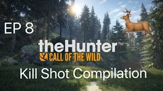The Hunter Call Of The Wild |Kill shot Compilation