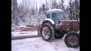 Т-40АМ работа в лесу...