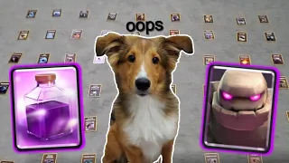 My Puppy Made My Deck in Clash Royale