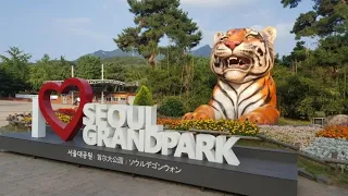 Увлекательное путешествие в зоопарк города Сеул (서울) Южная Корея Seoul Grand Park