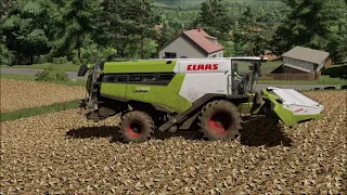 CLAAS Lexion 7700 GoPro hazaindul! Munka vége | Work end go home! Farming Simulator 22