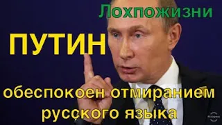 Про беспокойство Путина о русском языке