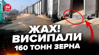 😡У Польщі ВИСИПАЛИ українське зерно з 8 ВАГОНІВ! Погляньте, що НАКОЇЛИ