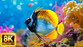 Colors Of The Ocean 8K ULTRA HD - The best sea animals for relaxing and soothing music #4