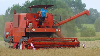 Bizon 50/56 kosi owies w górzystym terenie!!