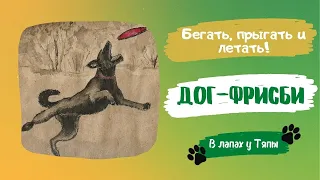 🐕‍🦺 Собачий спорт — Дог фрисби! Спорт для собаки. Спорт с собакой. Спорт для владельца | Добры канал