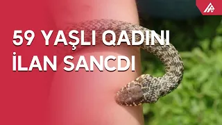 Qaxda tütün yığan qadını ilan sancıb