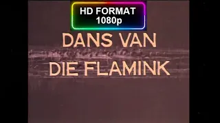 Dans van die Flamink (1974) (HD 1080p)