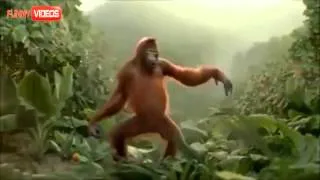 Dancing Monkey Cause Its Friday!