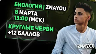 Круглые черви | Биология ЕГЭ