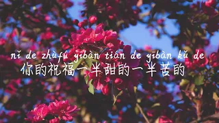 【半情歌-元若蓝】BAN QING GE-YUAN RUO LAN /TIKTOK,抖音,틱톡/병음가사,拼音歌词, pinyin lyrics/광고 없음, No AD,无广告