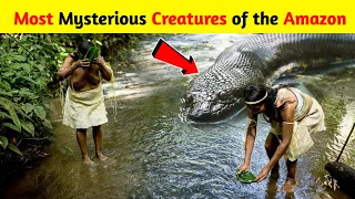 10 Most Dangerous Monsters Found in Amazon River | 10 Deadliest Creatures Found in Amazon River