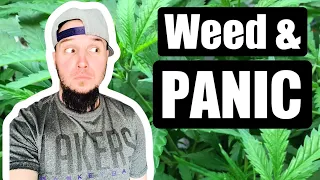 Weed and Panic Attacks - How To Make Them Stop