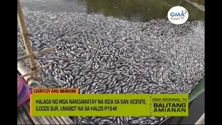 Balitang Amianan: Fish Kill sa Ilocos Sur