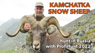 Kamchatka Snow Sheep Hunt In Russia With Profihunt 2022