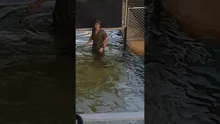 Robert Irwin lures bluey the salt water crocodile back to his pond