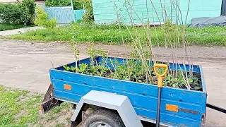 "Vegan Village"Еду в Атамановку"Деревня Веганов"