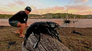 Country DAM Full of MARRON, CRAWFISH, CRAWDAD, CATCH and COOK