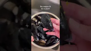 How to Clean Mussels #shorts