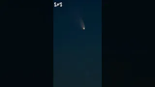 Newly discovered comet P1 Nishimura