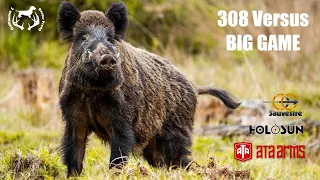 SHOOTING OF 7 WILD BOARS AND 2 DEER IN SOLOGNE - DexterProd@