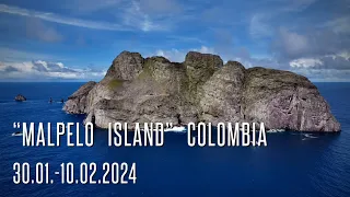 „Malpelo Island“ Colombia     30.01.-10.02.2024