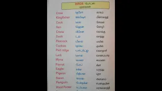 spoken English ✨ Birds 🐦🕊️ name 👉 Tamil & English 👈