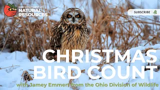 Christmas Bird Count