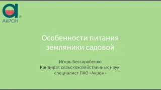 Особенности питания земляники садовой