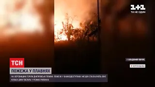 У Херсонській області всю ніч гасили пожежу у національному парку "Нижньодніпровський"