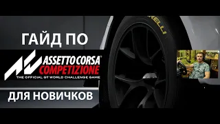 Гайд по Assetto Corsa Competizione для новичков - настройки игры и автомобиля, как ездить уверенно